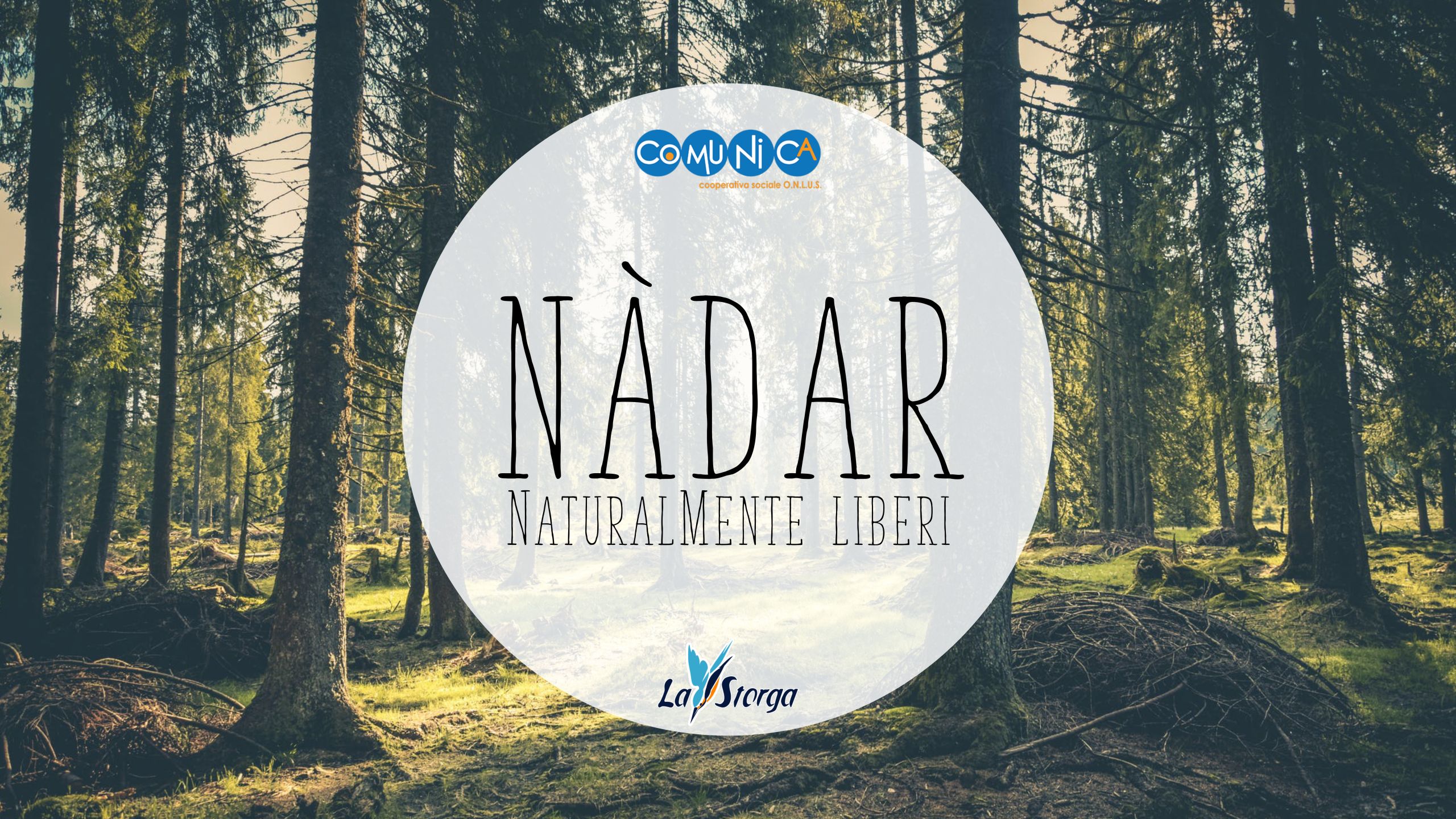 Nadar-_-immagine-loghi-scaled
