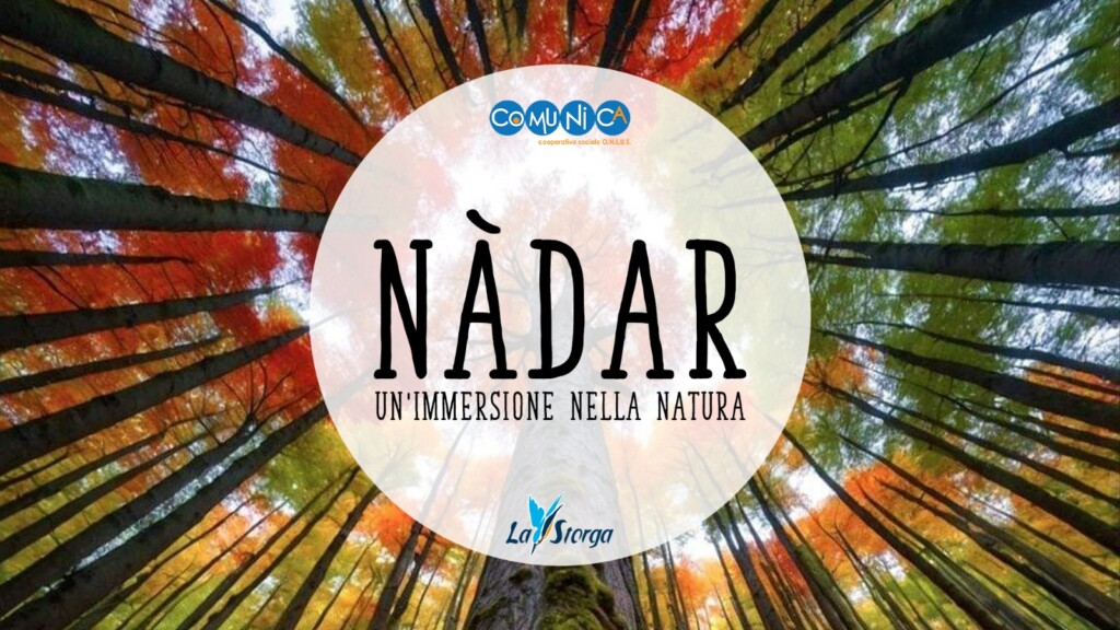 Nadar 2025
